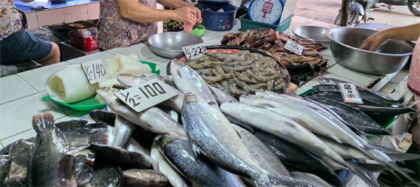 菲律賓伊富高省特產(chǎn)有哪些(注意什么)