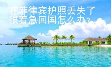 在菲律賓護照丟失了很著急回國怎么辦